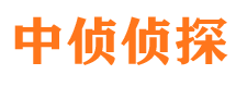 贡井市婚姻调查